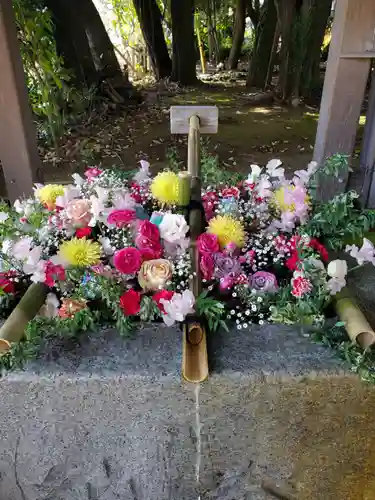 富知六所浅間神社の手水