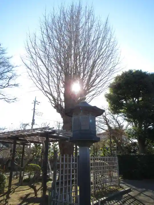 富蔵院(千葉県)