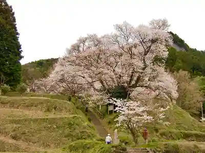 仏隆寺(奈良県)