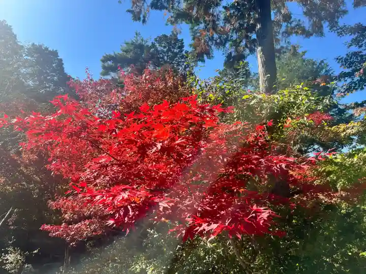 常樂寺(滋賀県)