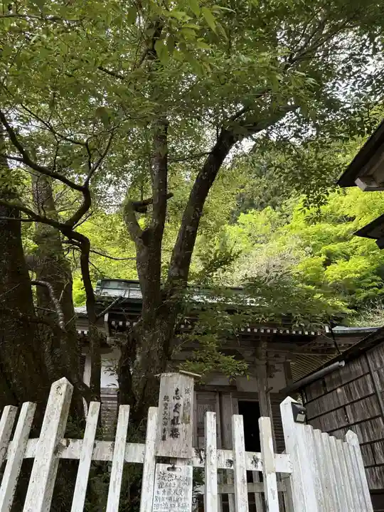 月輪寺(京都府)
