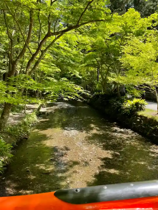 小國神社の{uncategorized: "未分類", other: "その他", undefined: "問題あり", building: "その他建物", grave: "お墓", sacred_gate: "鳥居", guardian: "狛犬", statue: "像", buddha: "仏像", history: "歴史", nature: "自然", garden: "庭園", animal: "動物", pagoda: "塔", temizu: "手水舎", mountain_gate: "山門・神門", sanctuary: "本殿・本堂", subordinate: "末社・摂社", art: "芸術", scenery: "景色", jizo: "地蔵", ema: "絵馬", goshuin: "御朱印", omikuji: "おみくじ", items: "授与品その他", amulet: "お守り", goshuincho: "御朱印帳", eats: "食事", festival: "お祭り", votive_dance: "神楽", shichigosan: "七五三参", wedding: "結婚式", experience: "体験その他", initially: "初詣", around: "周辺", anti_infection: "感染症対策"}