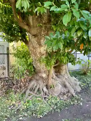巽神社(神奈川県)