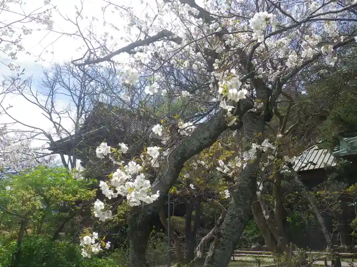 英勝寺のその他建物