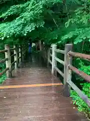 温泉神社の周辺