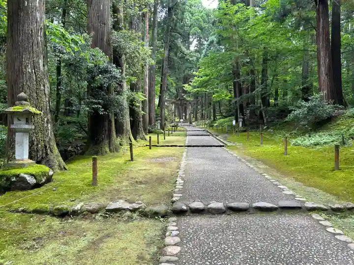 平泉寺白山神社(福井県)