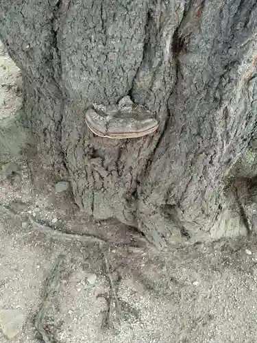 伊達稲荷神社(福島県)