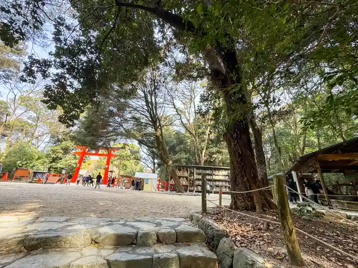 賀茂御祖神社(下鴨神社)(京都府)