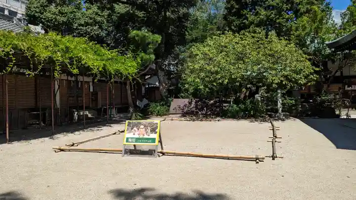 白峯神宮(京都府)