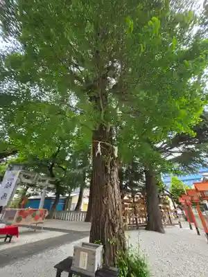草加神社(埼玉県)