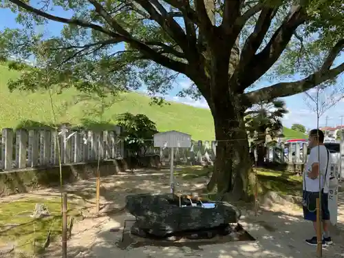 西八龍社の手水舎