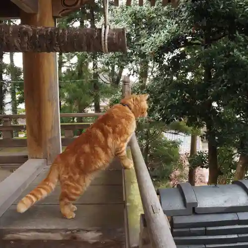 天王山 安楽寺(福井県)