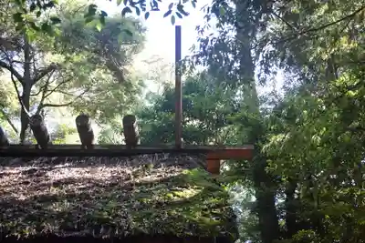 伊勢神宮内宮（皇大神宮）(三重県)