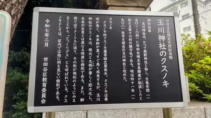 玉川神社(東京都)