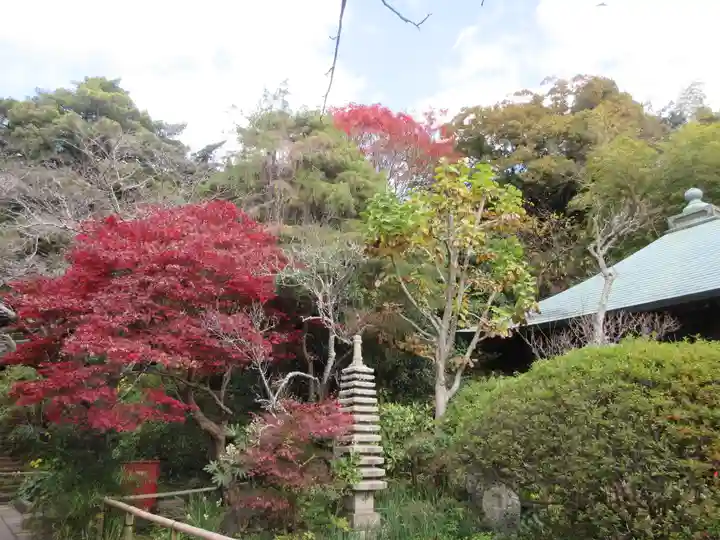 浄光明寺(神奈川県)