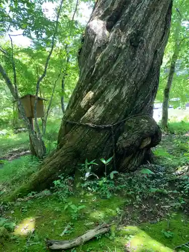 高房神社　上社(栃木県)