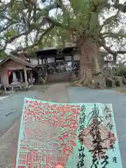 妙蓮寺(熊本県)