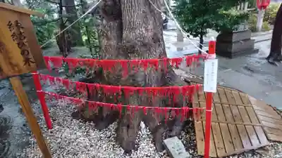 三輪神社のその他建物
