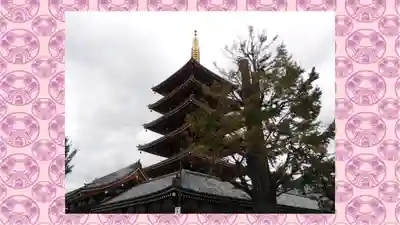 浅草寺(東京都)