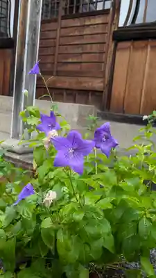 念佛寺(京都府)