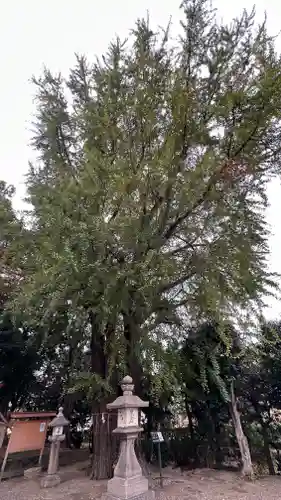 三栖神社(京都府)