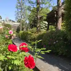 天台宗　長窪山　正覚寺の庭園