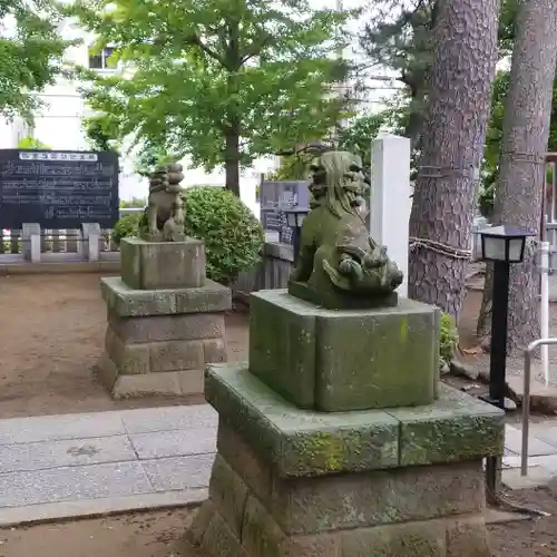 栗原氷川神社の狛犬