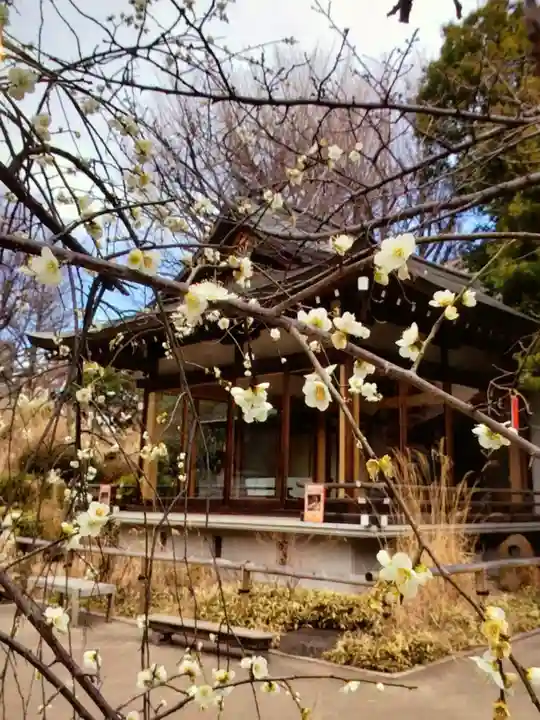 鳩森八幡神社(東京都)