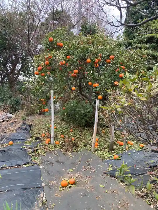 長松寺(神奈川県)