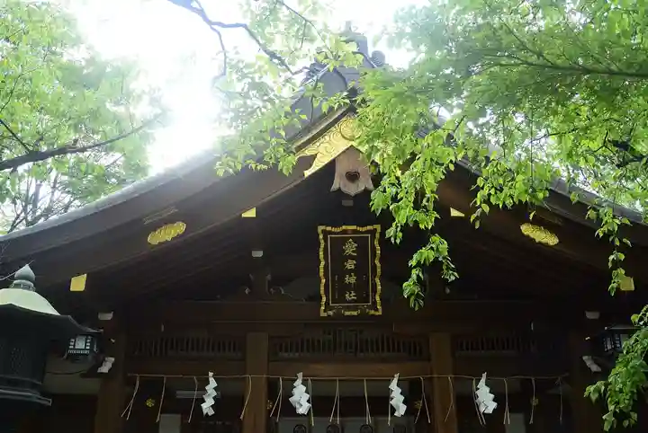 愛宕神社の本殿・本堂