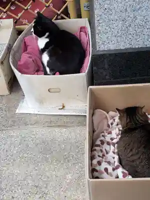 白金氷川神社(東京都)