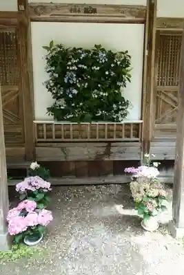 岡寺(龍蓋寺)(奈良県)