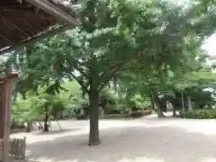 道明寺天満宮の建物その他