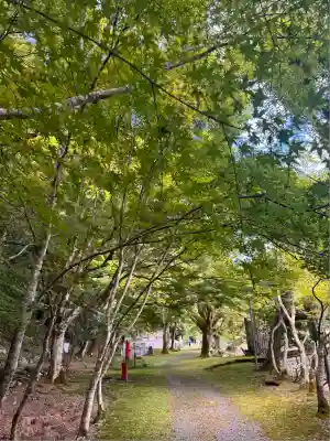 金剛院(京都府)