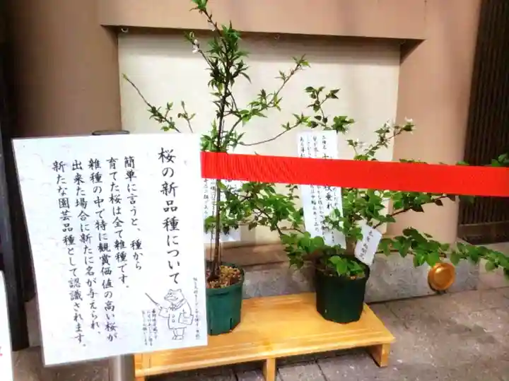 十番稲荷神社(東京都)