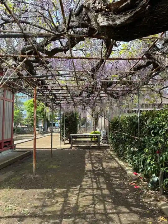 稲荷神社(千葉県)