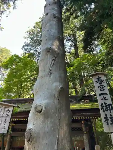 諏訪大社下社春宮(長野県)