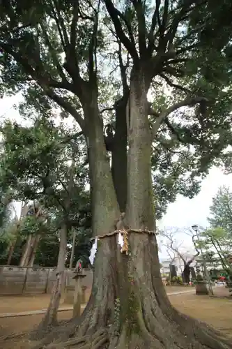 和田稲荷神社(東京都)