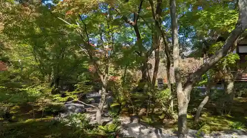 宝筐院(京都府)