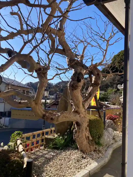 長運寺(神奈川県)