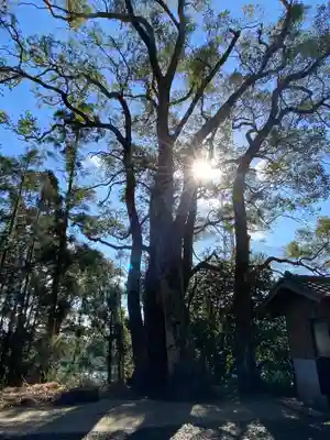 玉依姫神社の自然