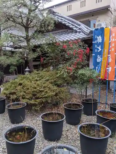 行願寺（革堂）(京都府)