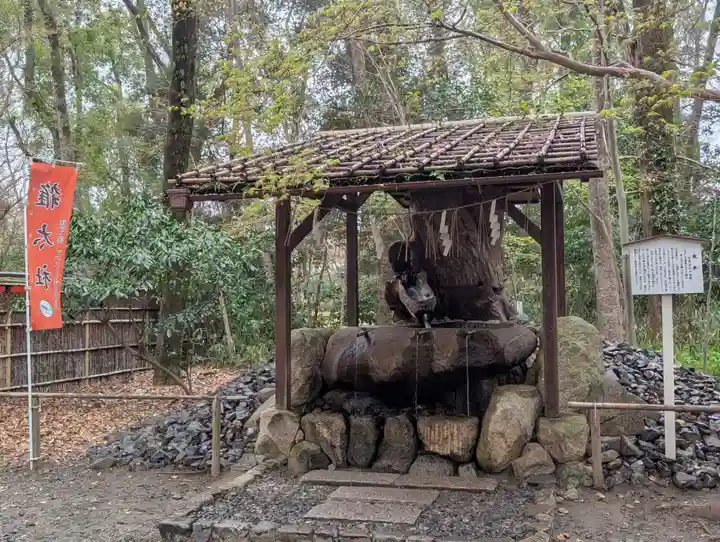 賀茂御祖神社(下鴨神社)(京都府)