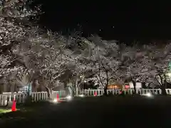 小垣江神明神社の自然