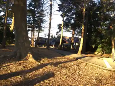 菅原神社(東京都)