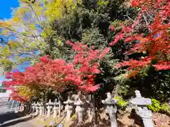 紅葉八幡宮(福岡県)