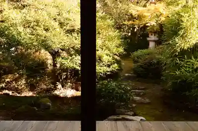 曼殊院門跡(京都府)