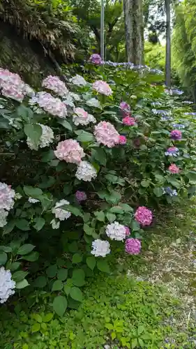 正法寺(京都府)