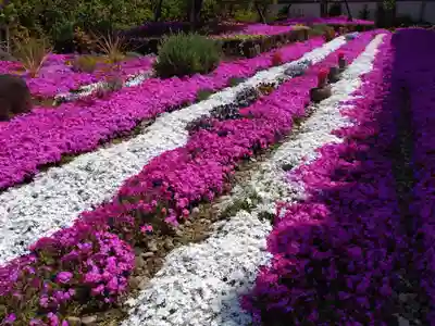 寿量山 速成寺(奈良県)