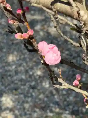 滋賀県護国神社(滋賀県)